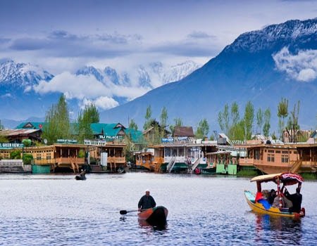 Kashmir new