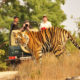 ranthambore