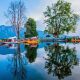 kashmir