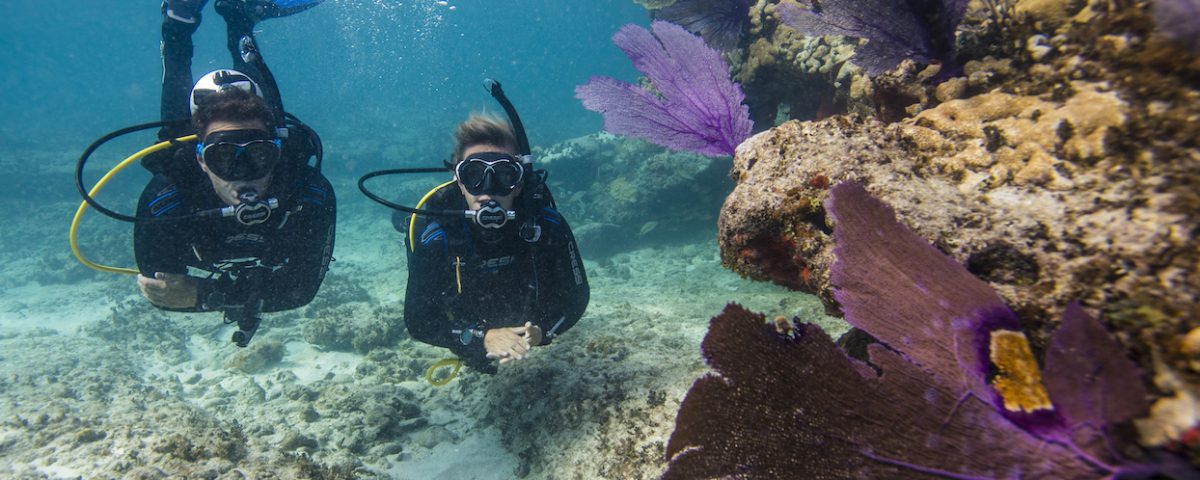scuba-diving-india