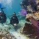 scuba-diving-india