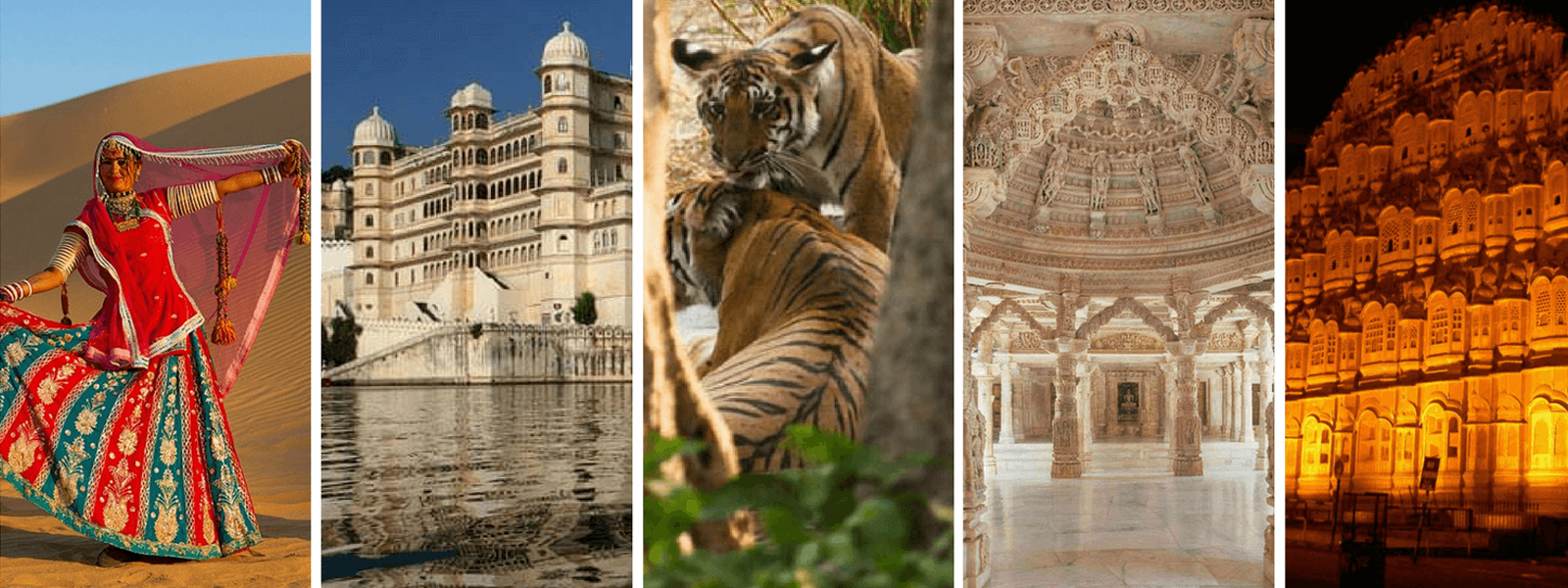 Exclusive Travel Packages by Rajasthan Leafs